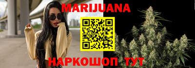 прущие грибы Краснознаменск