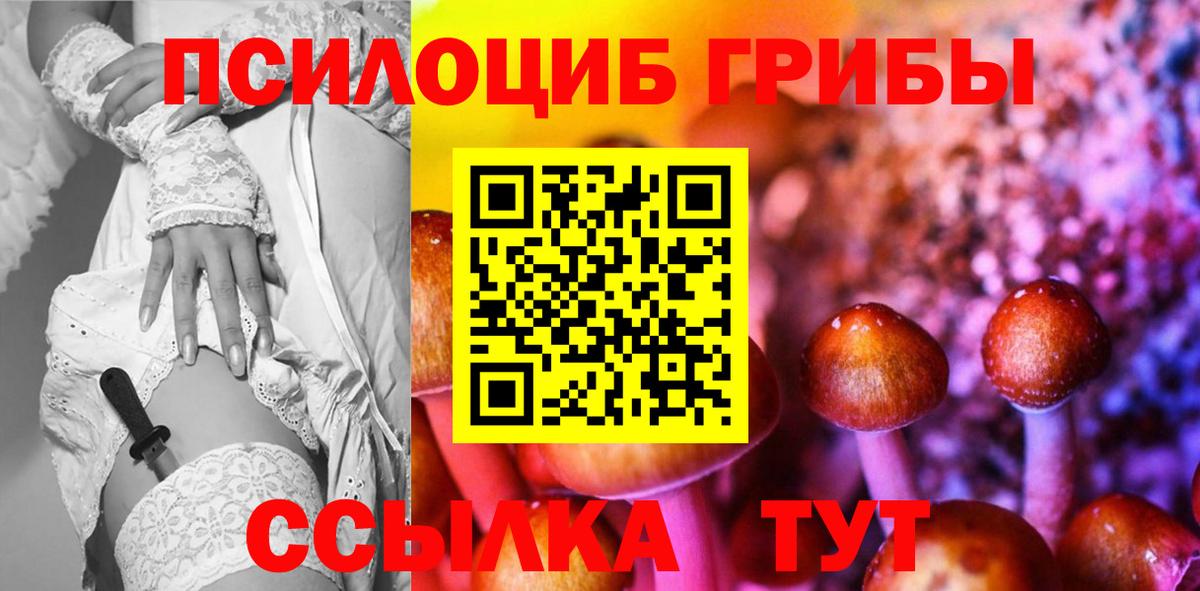 Псилоцибиновые грибы Cubensis Краснодар