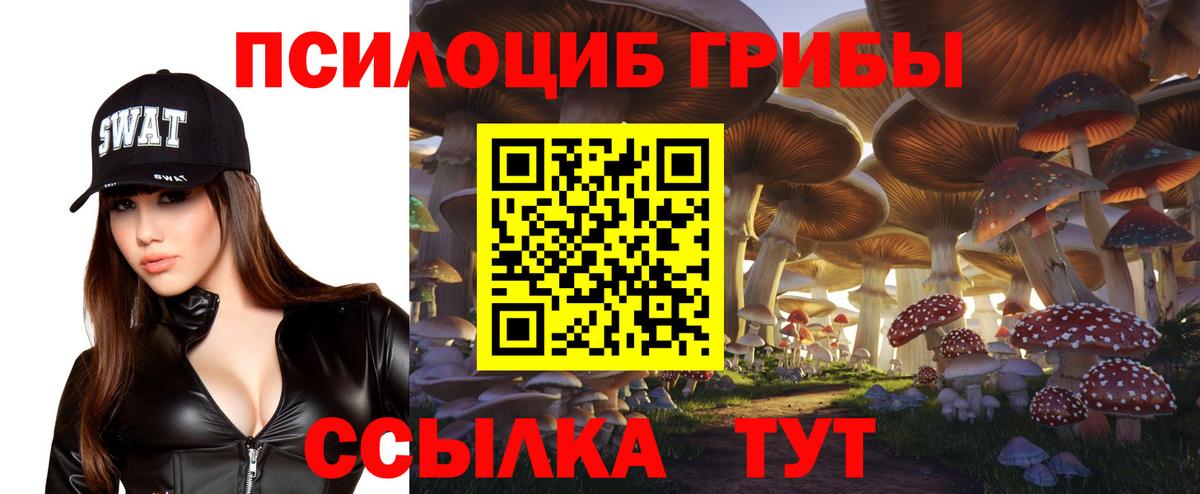 Галлюциногенные грибы Magic Shrooms  Вход с VPN  Псилоцибиновые грибы GOLDEN TEACHER  Краснодар 
